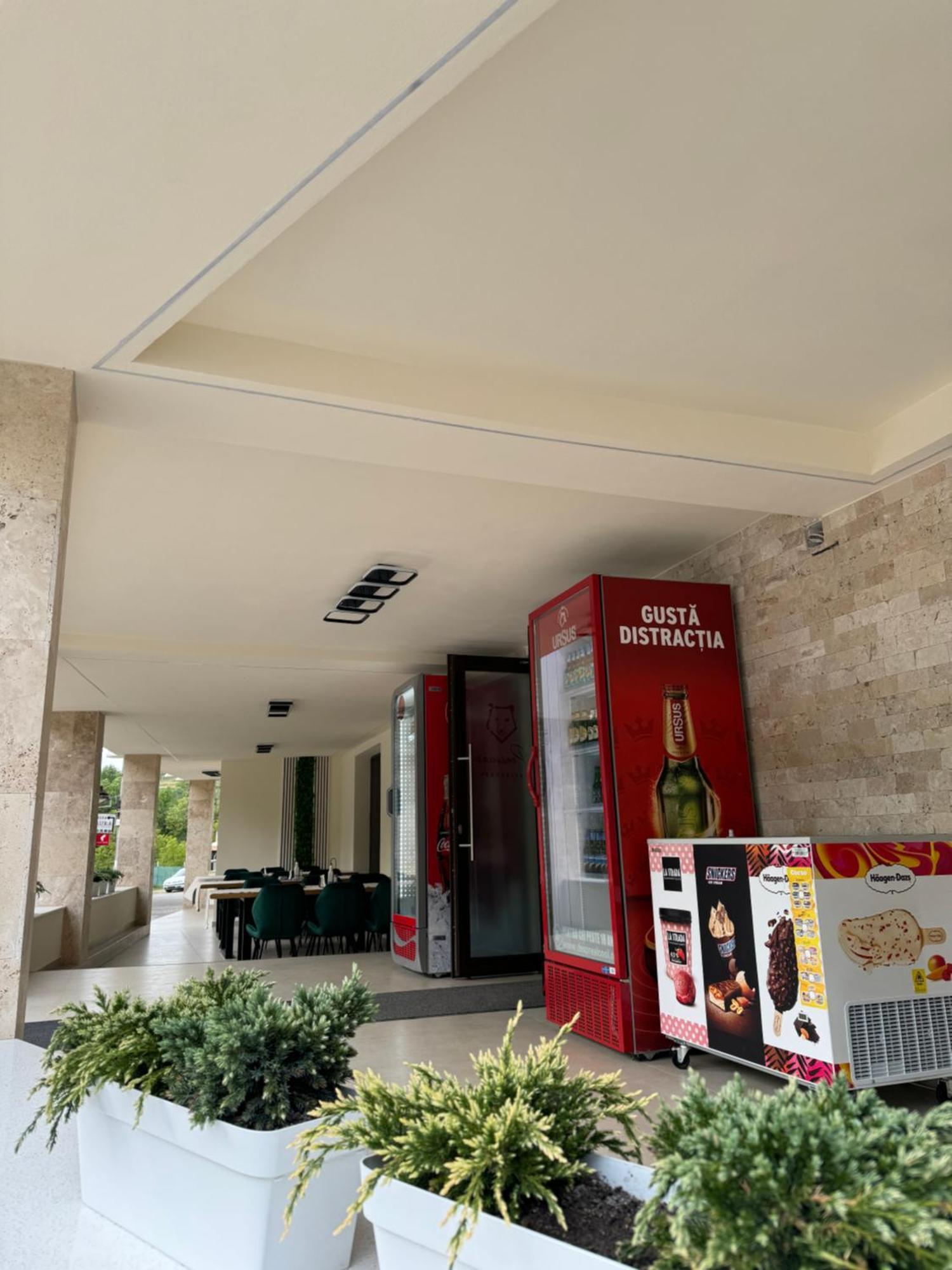 Conacul Pestera Ursilor Chiscau Esterno foto